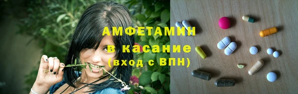прущие грибы Иннополис