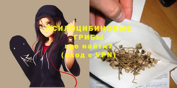 прущие грибы Иннополис