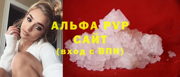 прущие грибы Иннополис