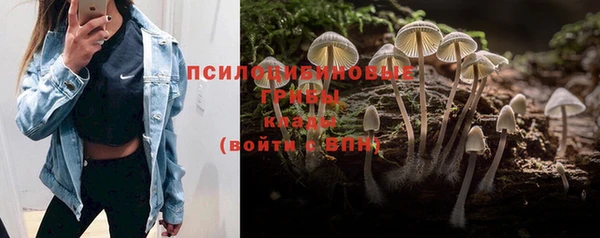 прущая мука Инта