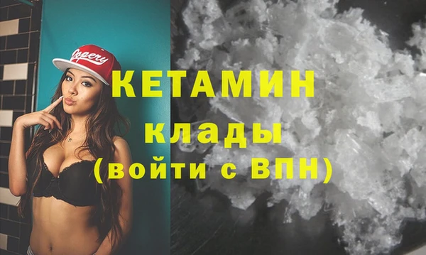 прущие грибы Иннополис