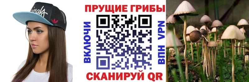 Псилоцибиновые грибы мицелий  Купить  Лесозаводск 